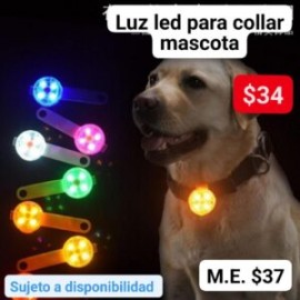 Luz led para collar mascotas